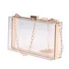 Transparent Acrylic Box Clutch Bag Chain Messenger Bag Women Evening Bags Handbag Chain Shoulder Bag Cosmetic Bag
