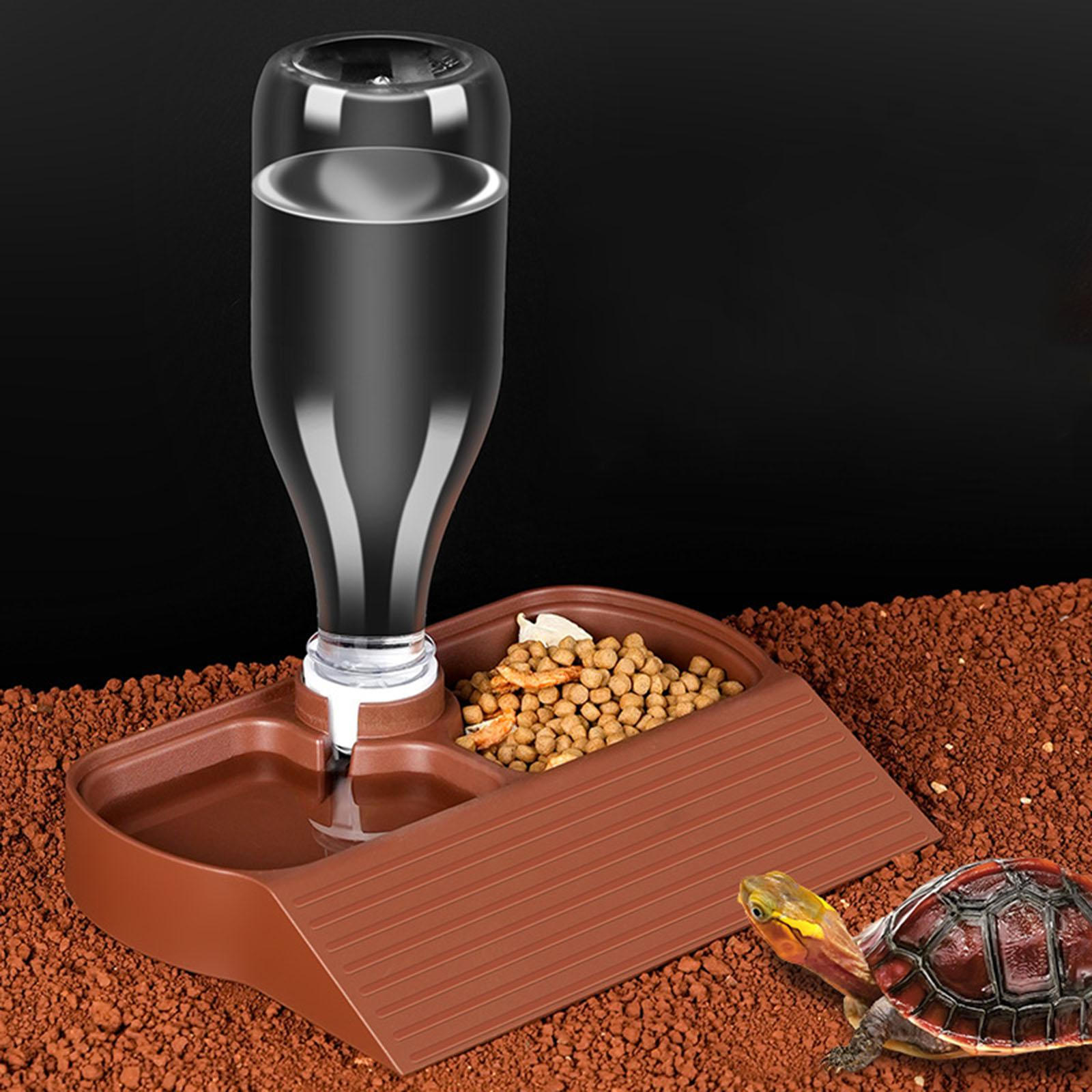 

Автоматическая кормушка для рептилий, диспенсер для воды, легко чистить, миски для еды и кормления для лягушки темно-красного