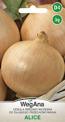Onion Alice 3g Onion Seeds -