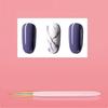 4pcs Nail Liner Brush and Dotting Pen Set Nails Art Brushes for Skilled Woman