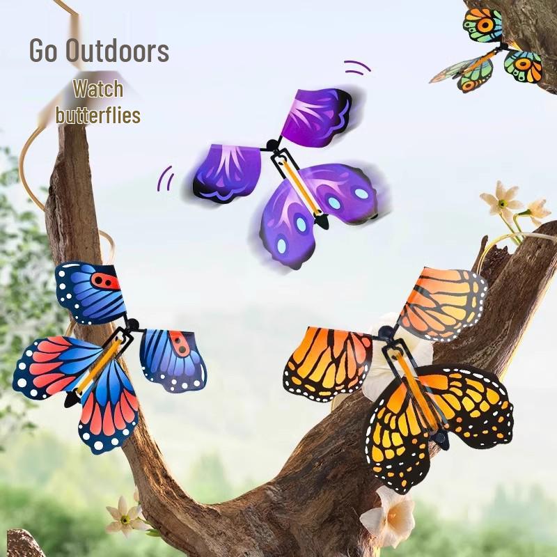 Flying Butterfly Children's Outdoor Gift Set: Bamboo Dragonfly, Boomerang & Spraying Flower Camping Toys