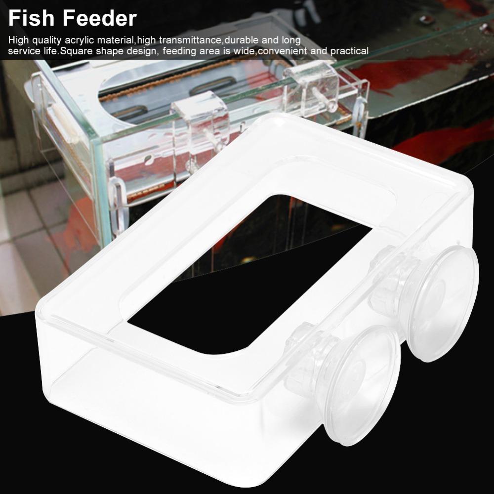 Acrylic Fish Food Feeder Transparent Suction Cup Aquarium Feeder Floating Feeder Simple Installation Fish Tank Feeder