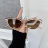 Fashion Cat Eye Sunglasses Women Men Brand Designer Cool Sun Glasses Female Outdoor Colorful Travel