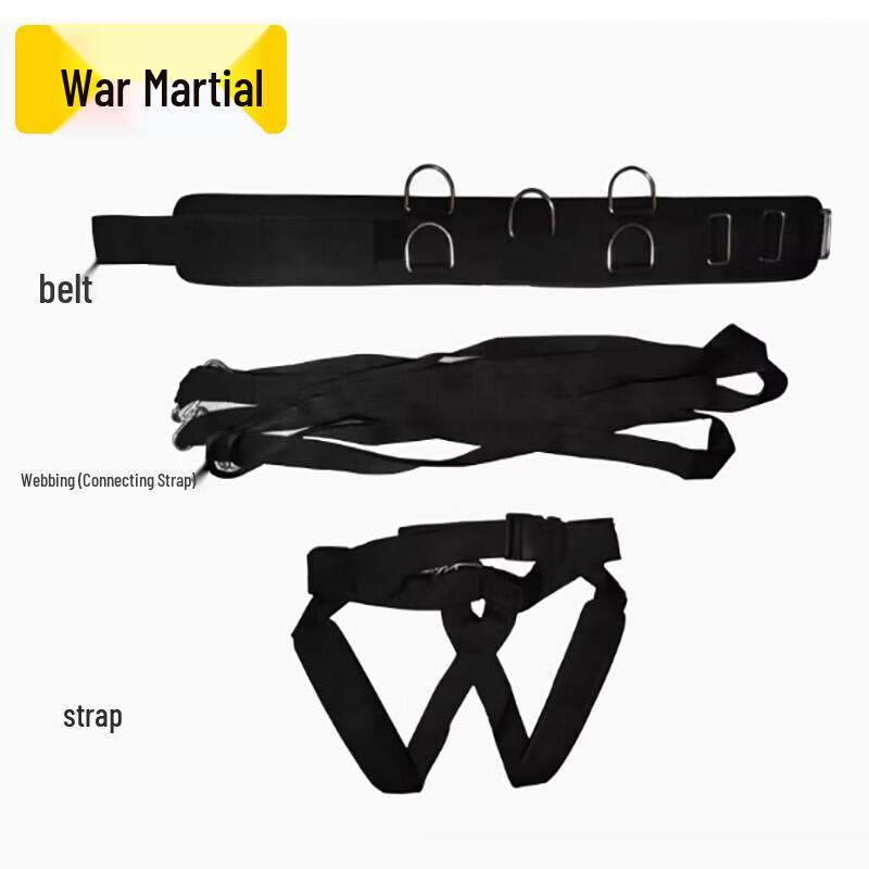 Professional Resistance Training Fitness Sled