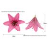 3D Silk Lily Hairpin & Headdress - Dance Prop & Floral Decoration