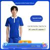 Jinzhu Shijia Shenzhen Middle School Boys' Summer Short-Sleeved T-Shirt (Upgraded)
