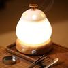 Creative Goose Pear Electric Incense Burner/Lamp Design Temple Worship To Buddha Meditation Bedroom Study Desktop Decoration