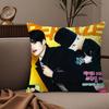 KKorean boy band RRIIZEs Pillow Case Silky elegant Comfort Sofa Bed Invisible zipper