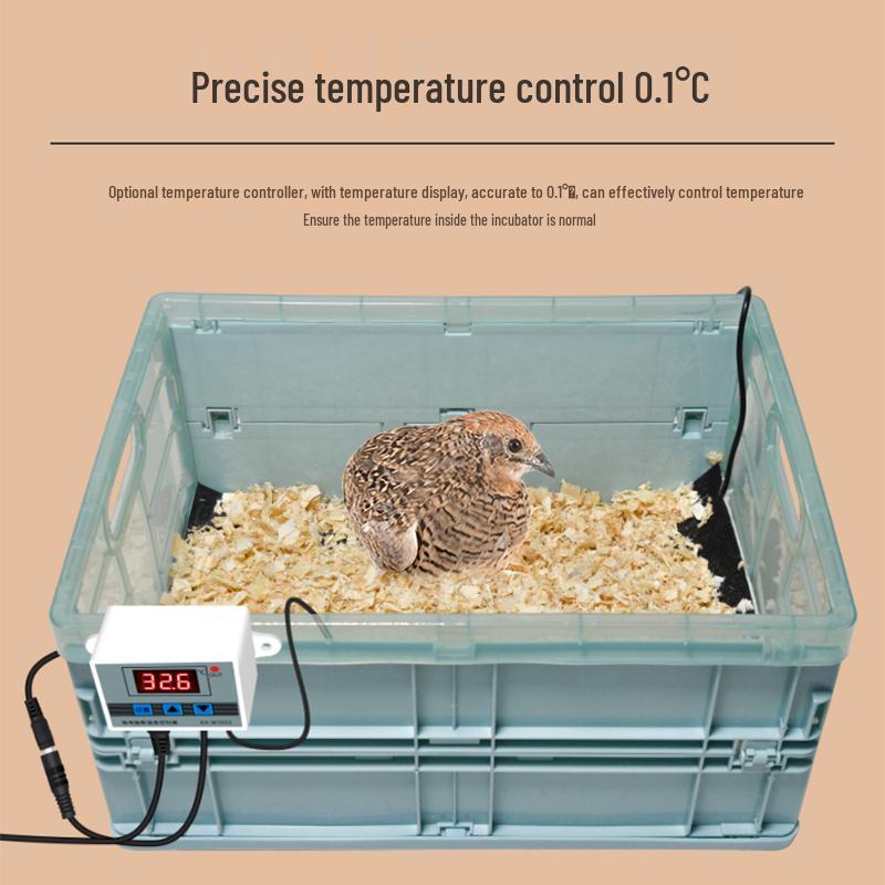 Parrot Chick Incubator with Heating Pad for Peony Fledgling Brooding