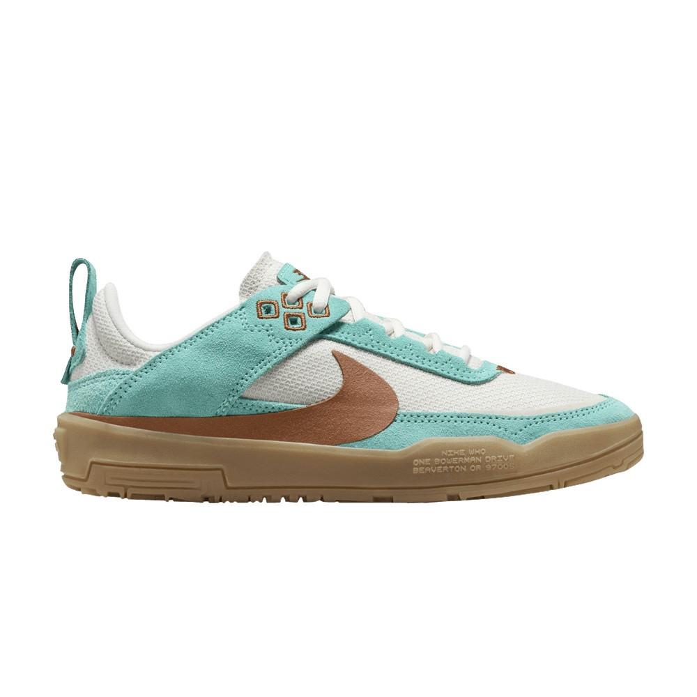 Nike Day One SB GS  Green Frost Dark Russet  FN4210-301 35