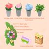 ROBOTIME Rolife 3D Puzzle Super Creator Fresh Flower Shop DIY Miniature House (DW017B) | 1:24 Scale