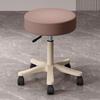 Beauty Salon Swivel Stool: Hairdresser, Nail Technician, Makeup Artist, Barber Wheeled Chair