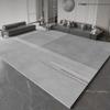 Light Luxury Study Rug Large Area Nordic Style Carpets for Living Room Minimalist Bedroom Decor Bedside Carpet Home Washable Mat