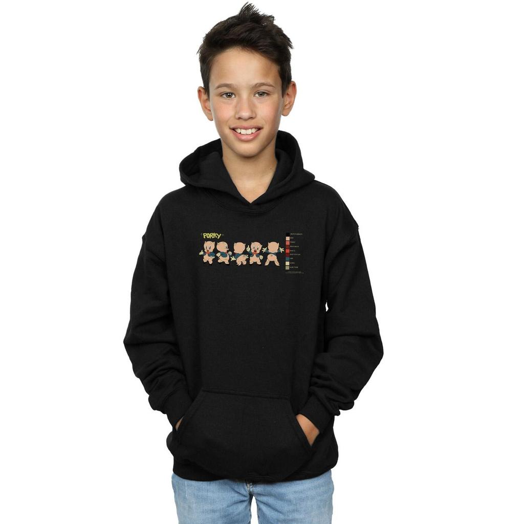 Looney Tunes Boys Porky Pig Colour Code Hoodie