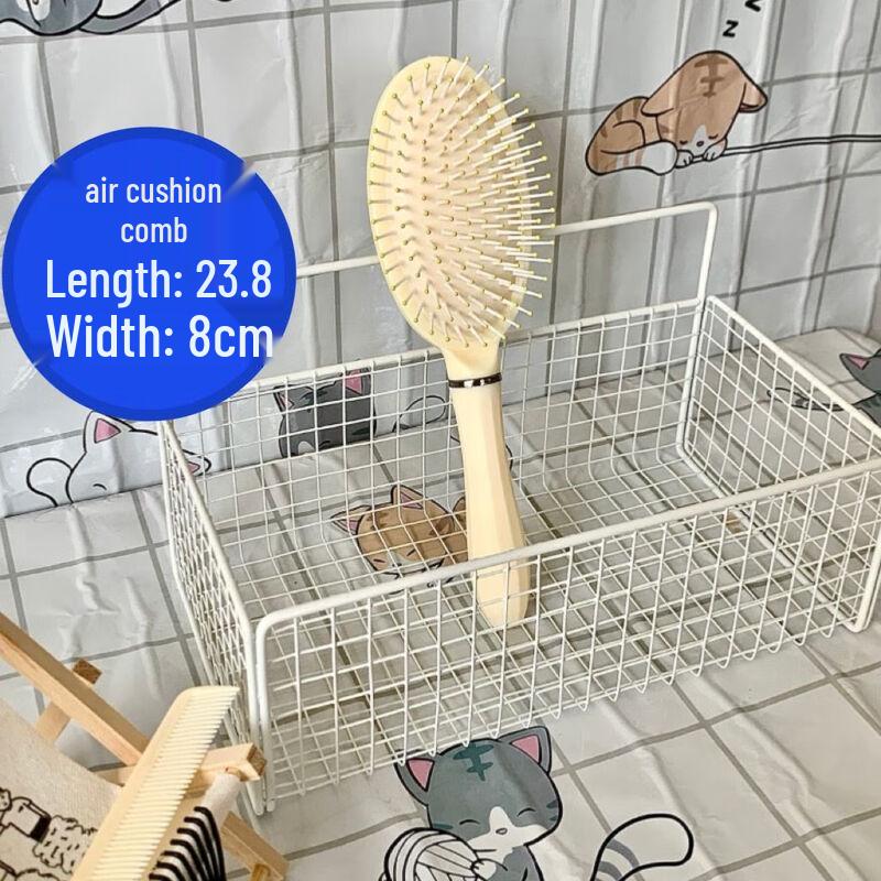 Sinle Air Cushion Massage Comb Set