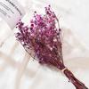 Wedding Small Decorative Mini Natural Babysbreath Bouquet Dry Flower Dried Flowers Gypsophila