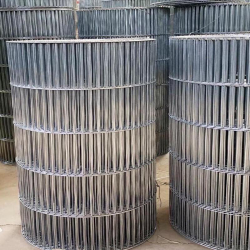 Galvanized Wire Mesh Roll