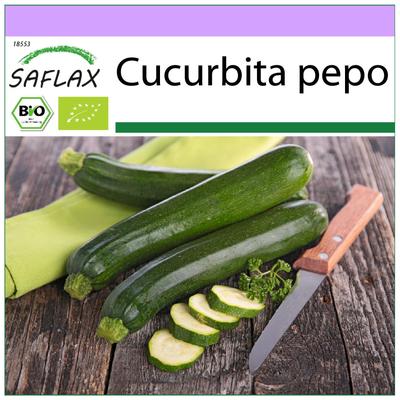 Bio - Zucchini - Nero di Milano - 6 Samen - Cucurbita pepo