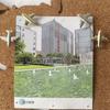 30pcs Airplane Shape Airplane Push Pins Silver/Gold Color Decorative Thumbtacks  Bulletin Board