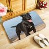 Funny Boston Terrier Dog Doormat Indoor Anti-Slip Suede Carpet Entrance Rug for Living Room Bedroom Kitchen Bathroom Door Mats