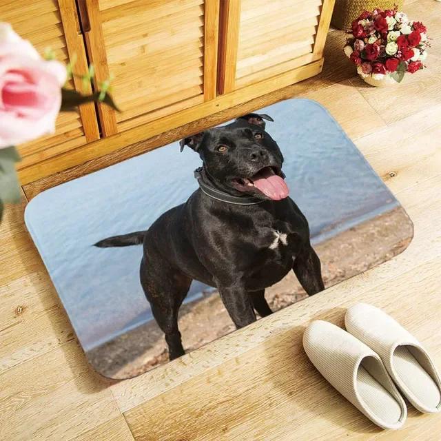 Funny Boston Terrier Dog Doormat Indoor Anti-Slip Suede Carpet Entrance Rug for Living Room Bedroom Kitchen Bathroom Door Mats