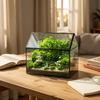 Mini Rainforest Glass Terrarium: Indoor Greenhouse for Potted Plants and Flowers