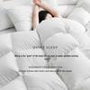 Ran Brand White Duck Down Winter Comforter