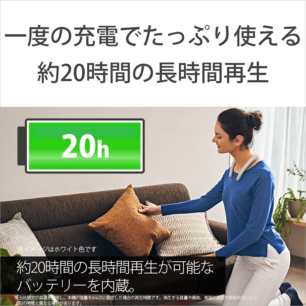 Sony Wireless Neckband Speaker SRS-NB10: Wireless Neckband Speaker with Two High-performance Microphones for Teleworking, IPX4 Water Resistance, Hands
