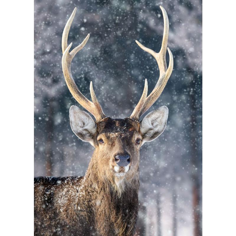 Lovely Animal Wild Deer Canvas Poster Cute Jungle Angel Wall Art Picture for Living Room Bedroom Club Bar Modern Home Decor Gift
