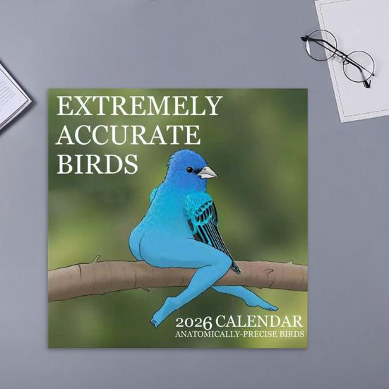 Calendar de perete 2026 Păsări amuzante Calendar de perete de agățat ian.. până în Dec.2026 Planificator de 12 luni Cadou amuzant de Crăciun Cadou Elefant Alb pentru adulți