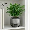 Durable Plant Pot Self Watering Pots for Indoor Plants Plastic Planter with Drainage Container Holes Small Flower Houseplants African Violets,