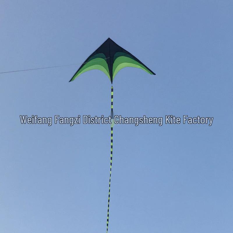 Łatwy w lataniu duży latawiec wiatrowy dla dzieci i dorosłych z długim preriowym ogonem