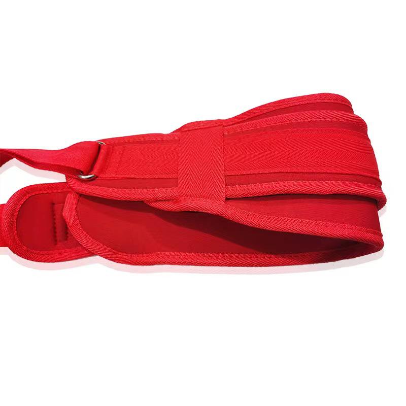 Adult Nylon Padded Doorway Swing for Couples