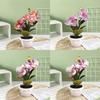 Artificial Phalaenopsis Flower Decor With Plastic And Silk Materials For Indoor Garden And Photography Props