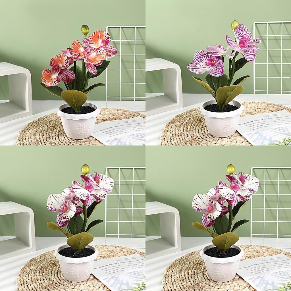 Artificial Phalaenopsis Flower Decor With Plastic And Silk Materials For Indoor Garden And Photography Props