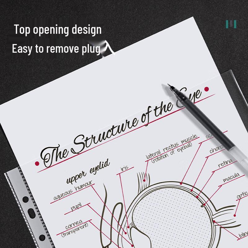 Deli A4 Textured 11-Hole Document Inner Pages