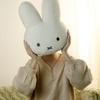 Sleeping Miffy Plush Cushion, Body Pillow, Soft, Stylish, Cute Character Item, 40x30cm (Normal/Beige)