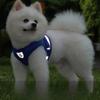 New Pet Chest Strap Vest Dog Leash Reflective Breathable Mesh Dog Leash Pet Supplies
