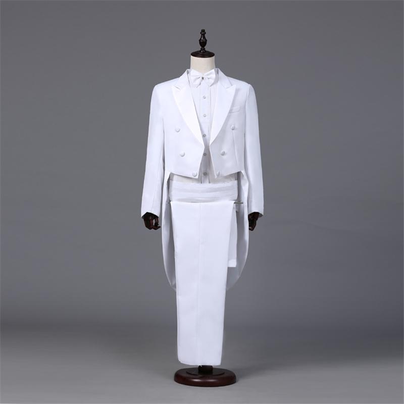 Men's Dress Suit Stage Performance Suit Jacket + Pants Two Piece Set