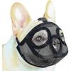 Cães – Produtos para treino de animais