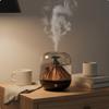 Rechargeable Mist Humidifier Wireless Air Treatment Device Quiet Function