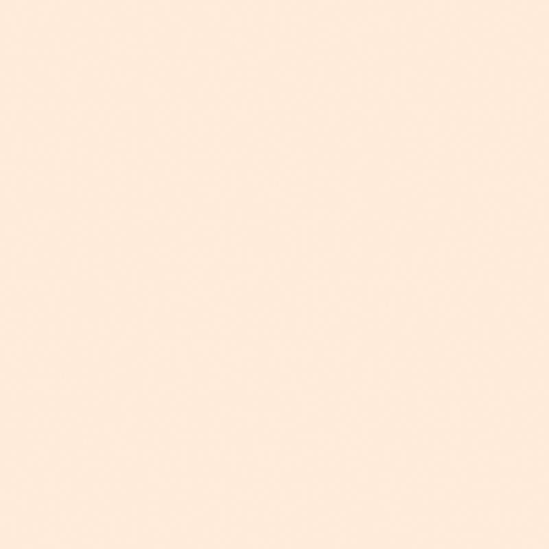 BANILA CO Covericious Power Fit Foundation SPF45 PA++ 30ml 20 Cream