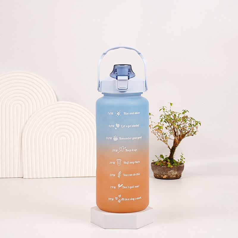 Gradient 2L Sports Water Kettle: Stylish, Durable, Large Capacity for Outdoor Use Single Cup with Straw