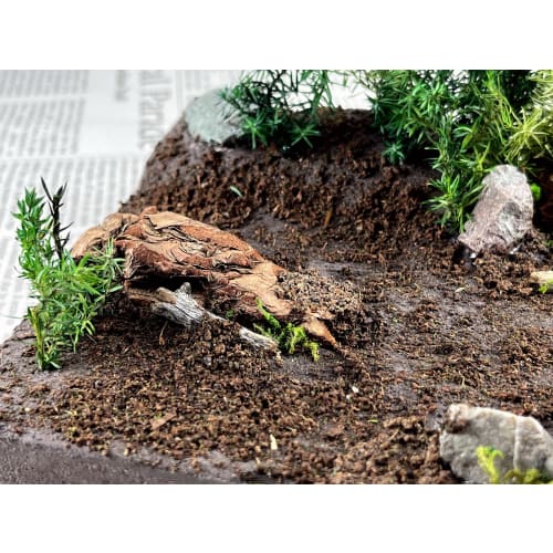 Segawa Modeling Large Plains Kit DO-1003 Diorama Supplies