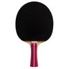 DOUBLE FISH Entry-Level Shakehand Table Tennis Paddle