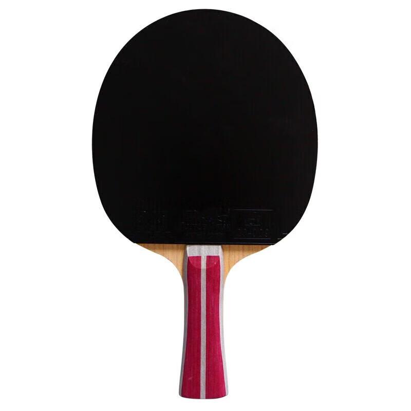 DOUBLE FISH Entry-Level Shakehand Table Tennis Paddle