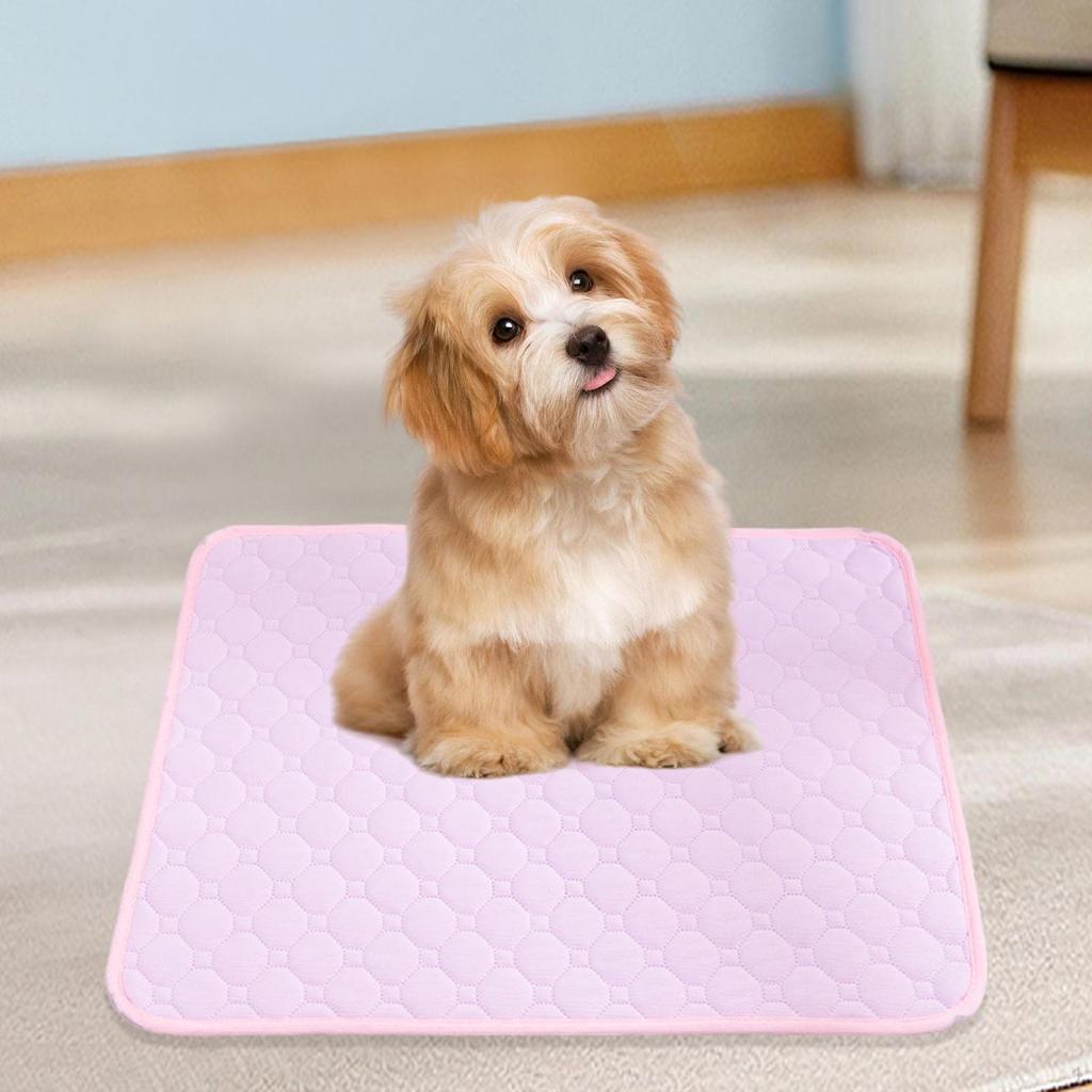 Dog Training Pad for Puppies - Absorbent And Airy