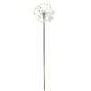 Artificial Flower Dandelion Simulation Dandelion/flower White Plastic Iron Wire For Home Garden Decoration Fake Flowers-hao