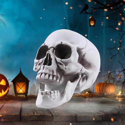 Model ľudskej lebky v životnej veľkosti Halloween Dekor Skeleton Lebka Realistický dospelý človek
