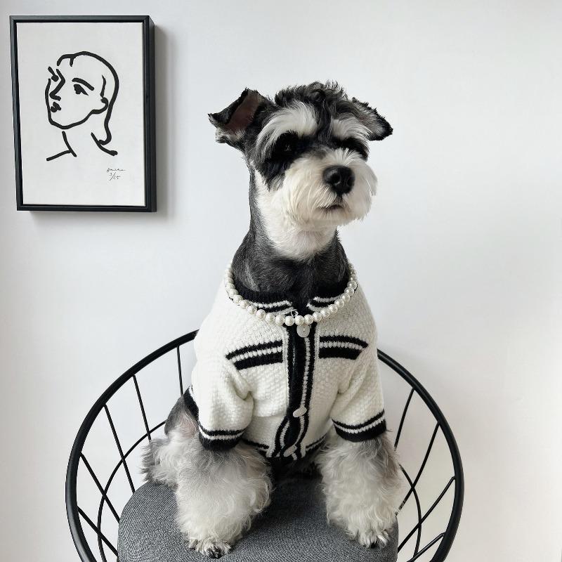 New pet necklace cat pearl collar teddy puppet ins photo pet accessories